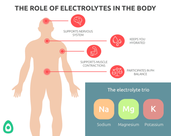 Role of Eletrolytes
