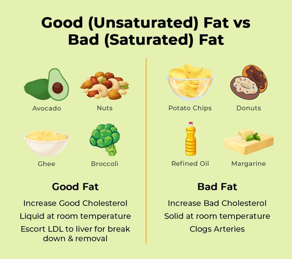 different types of fats and their roles in the body