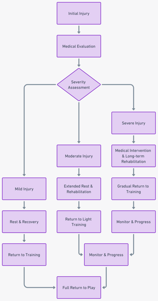 A chart showing the return-to-play decision process
