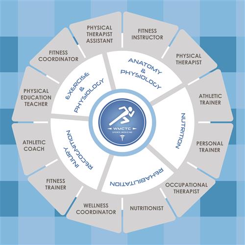 different specializations within sports medicine and their interconnections.