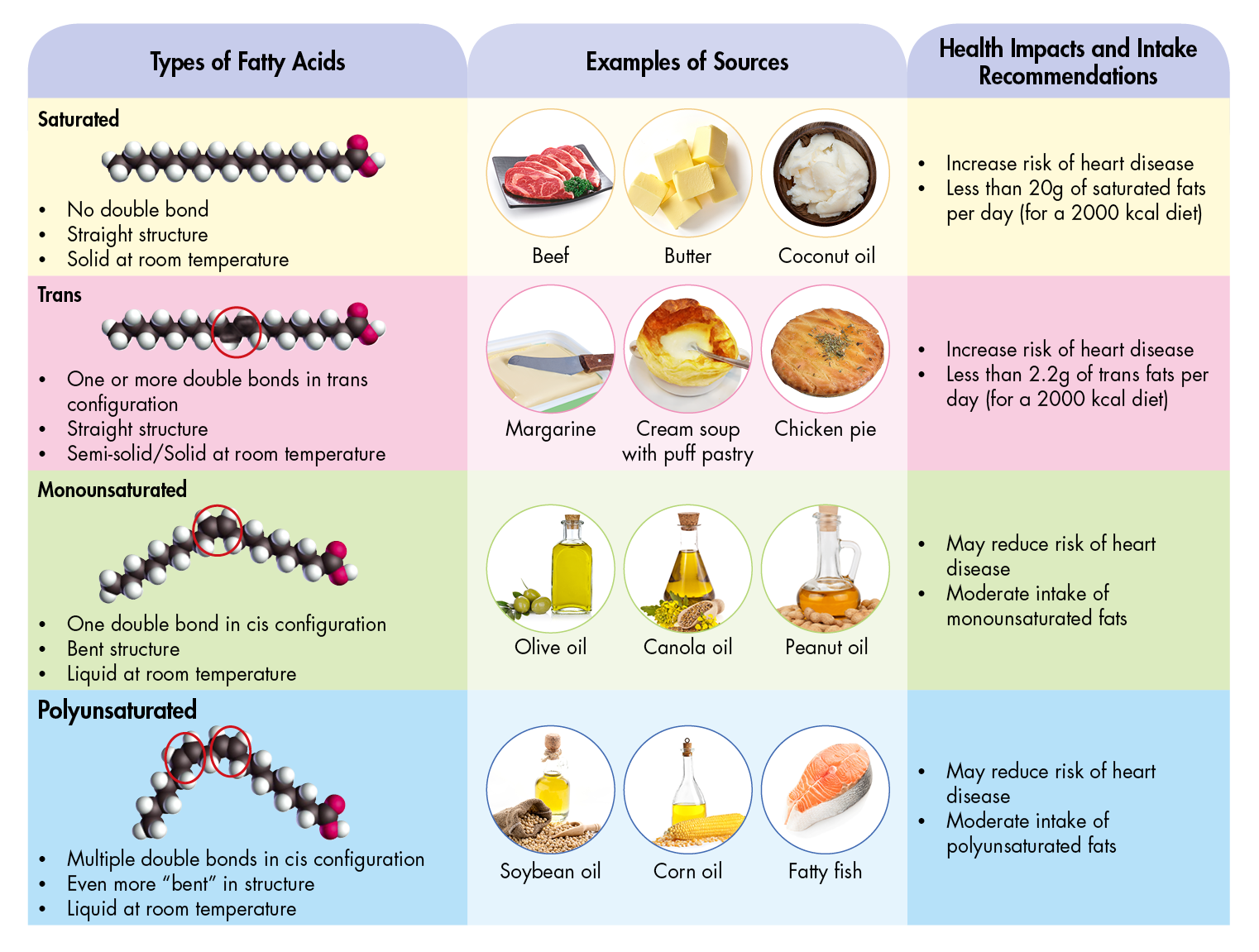 different types of fats and their impact on health