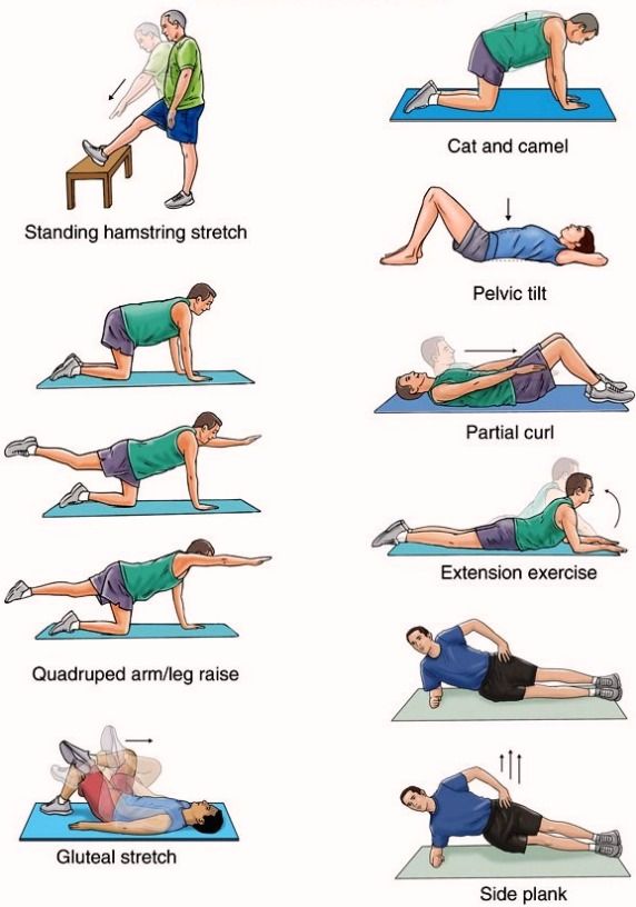 exercises for strengthening back muscles.