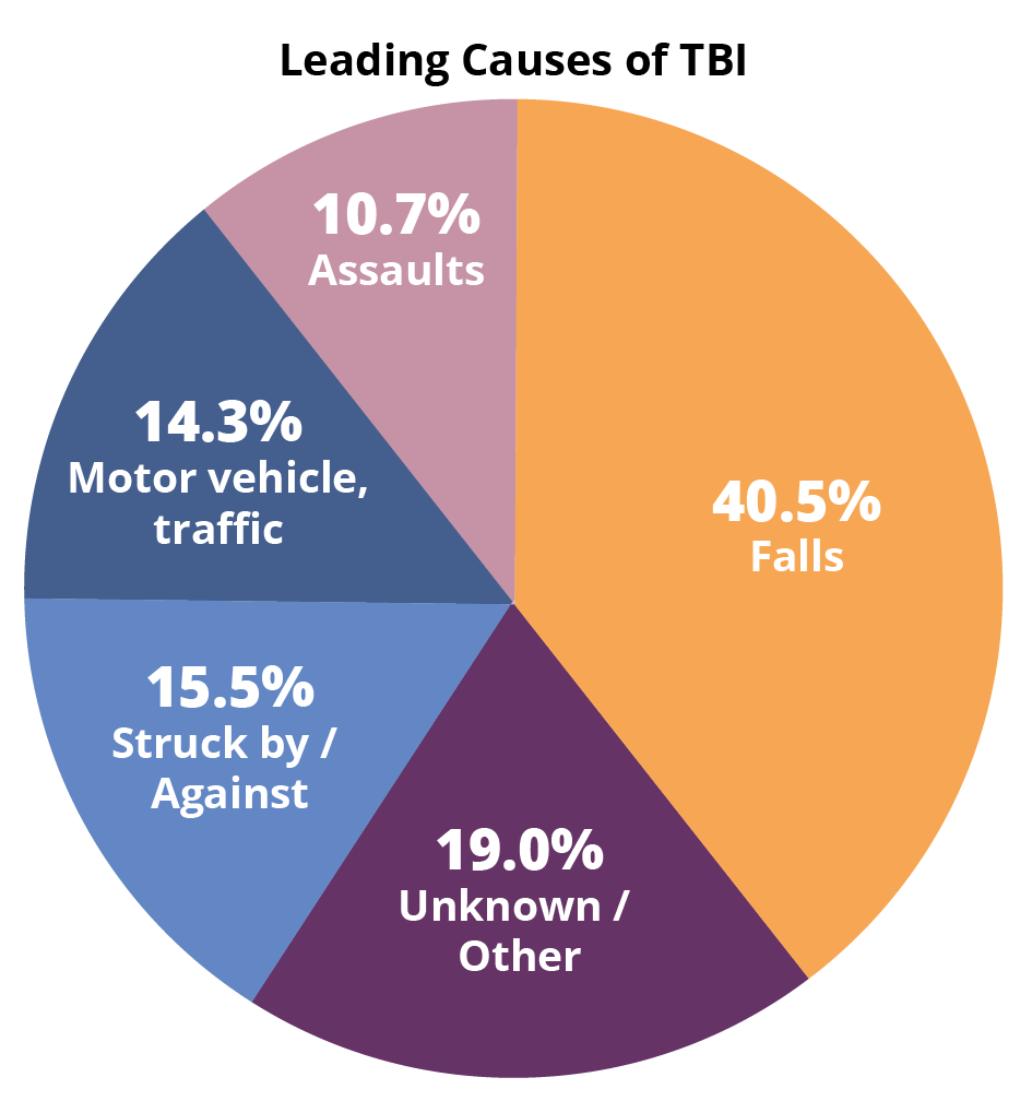 Leading Causes of TBI