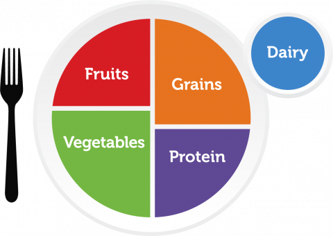 The USDA's MyPlate