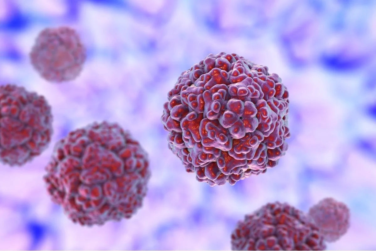 rhinovirus