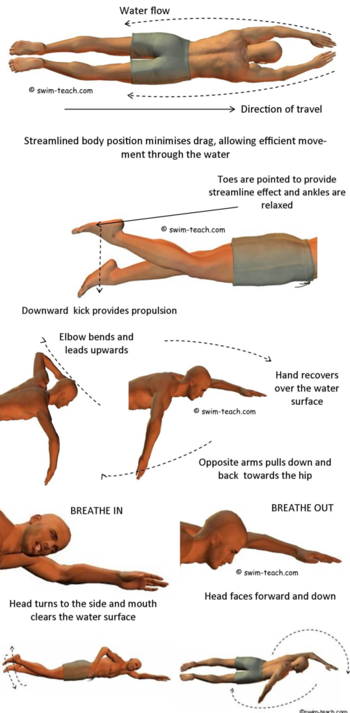 swimmer demonstrating proper freestyle technique.